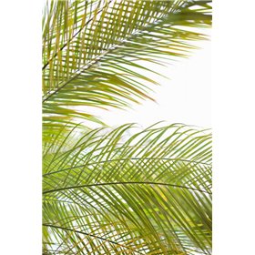 Cuadro para dormitorio - Palms in the Sun I - Cuadrostock