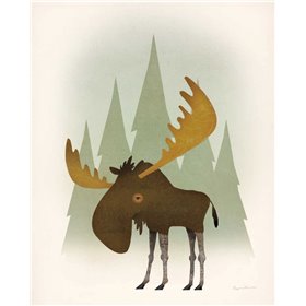 Forest Moose - Cuadrostock