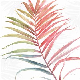 Tropical Blush VI - Cuadrostock