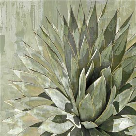 Succulent Verde I