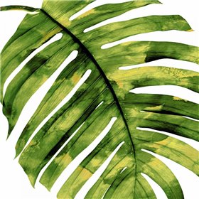 Tropical Palm II