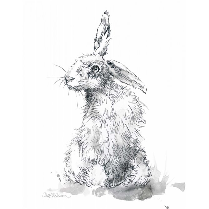 Garden Hare II - Cuadrostock