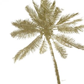 Palm Breeze II