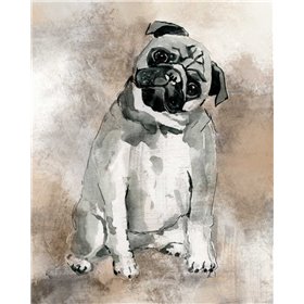 Sketchy Study Pug - Cuadrostock