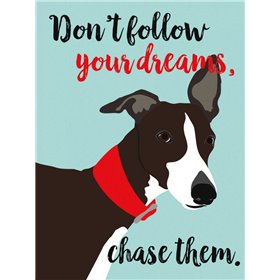 Dont Follow Your Dreams, Chase Them