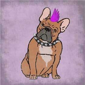 Rockin Frenchie