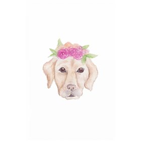 Petunia Pup - Cuadrostock