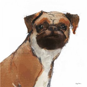 Snug Watercolor