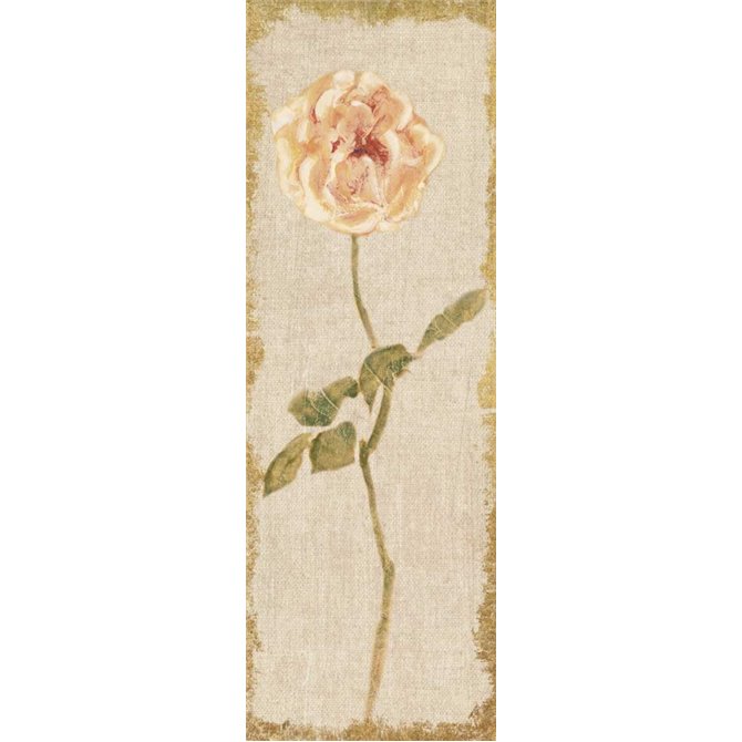 Pale Rose Panel on White Vintage - Cuadrostock