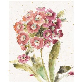 Country Bloom II
