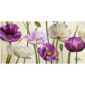 Poppies in Spring I