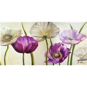 Poppies in Spring II