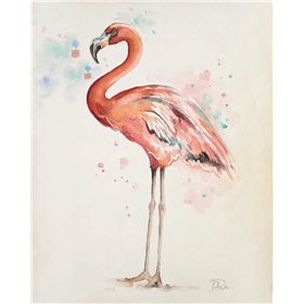 Flamingo I