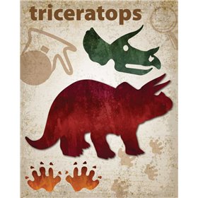 Triceratops Dinosaur - Cuadrostock