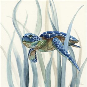 Turtle in Seagrass II - Cuadrostock