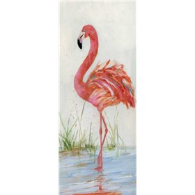 Flamingo II - Cuadrostock