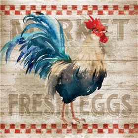 Morning Eggs - Cuadrostock
