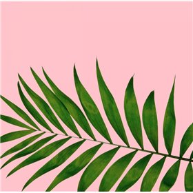 Miami Vibe 3