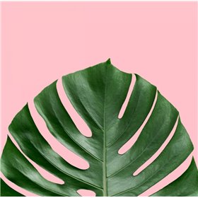 Miami Vibe 2