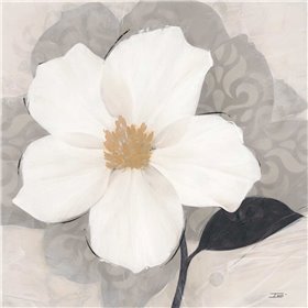 ?lÃ©gance Blanc
