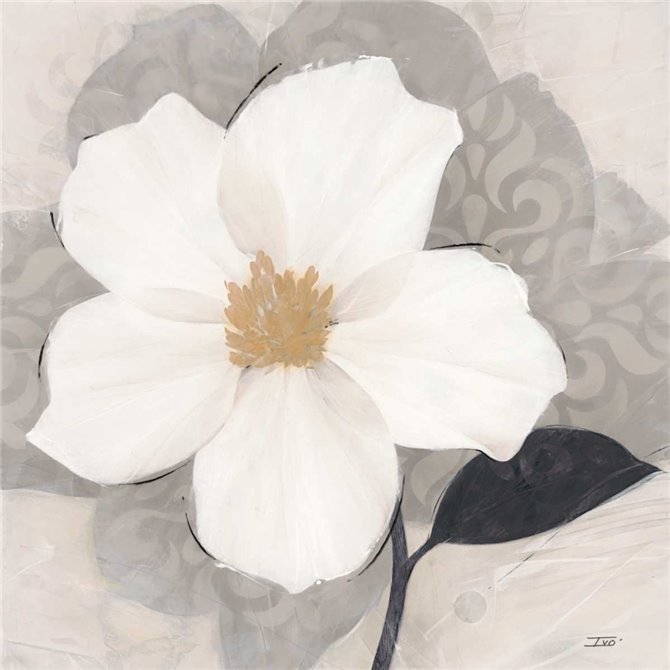 ?lÃ©gance Blanc