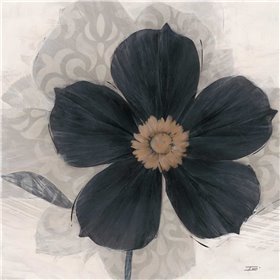 ?lÃ©gance Noir