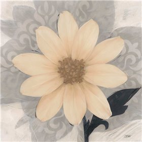 ?lÃ©gance CrÃ¨me