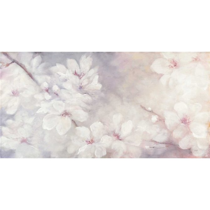 Cherry Blossoms - Cuadrostock