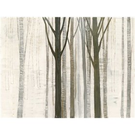 Down to the Woods on White