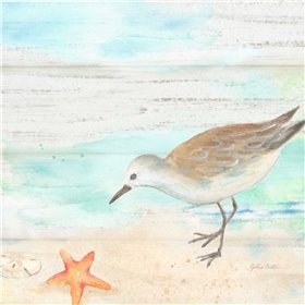 Sandpiper Beach II - Cuadrostock