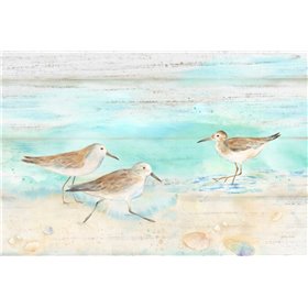 Sandpiper Beach Landscape - Cuadrostock