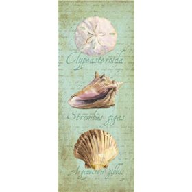 Oceanum Shell Panel Green I