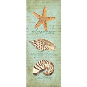Oceanum Shell Panel Green II