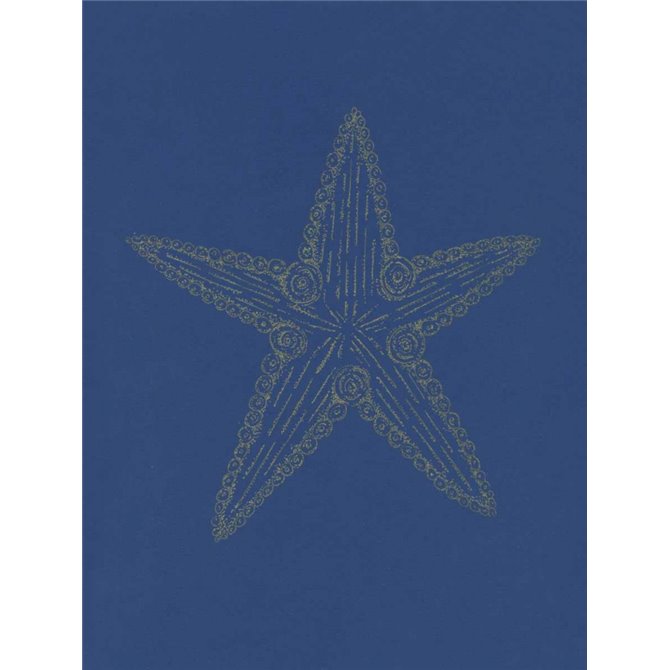 Glowing Indigo Starfish - Cuadrostock