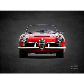 Alfa Giulia 1600 Spider 1964 - Cuadrostock