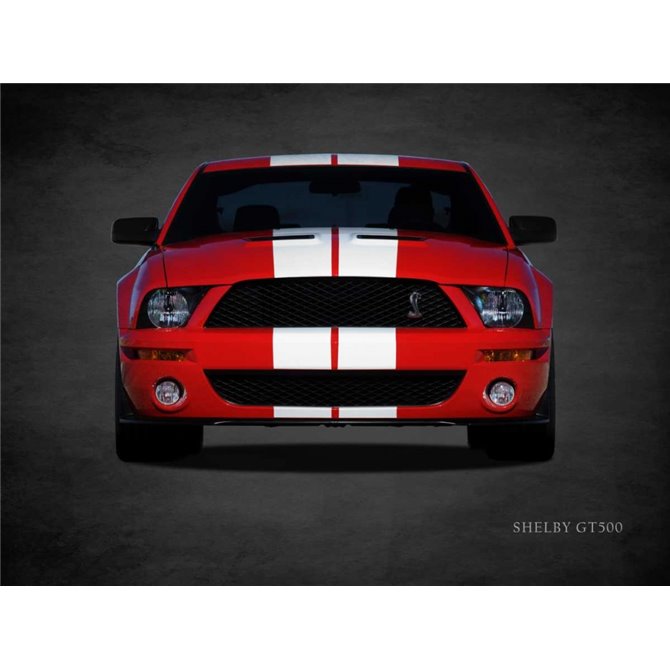 Ford Shelby GT500 - Cuadrostock