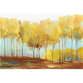 Yellow trees - Cuadrostock