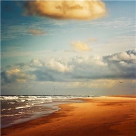 Dream Beach - Cuadrostock
