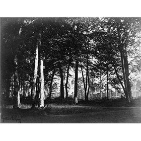 Fontainebleau, 1849 - Study of Trees and Pathways - Cuadrostock