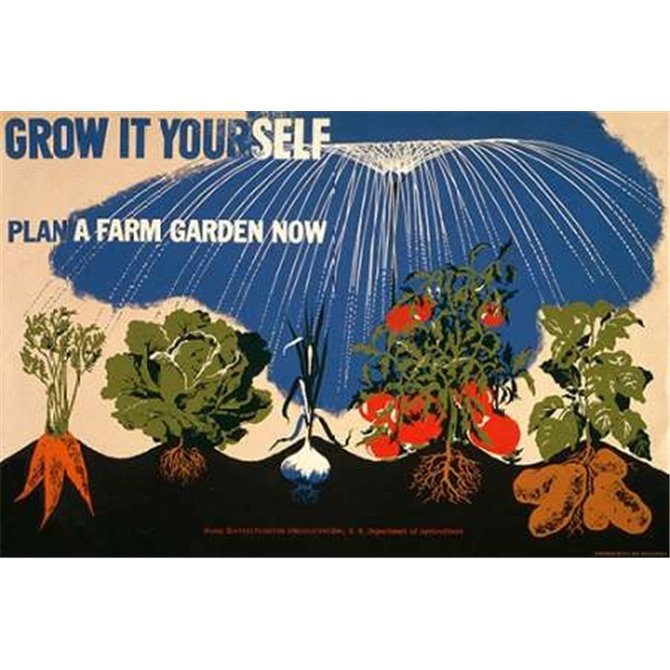 Grow it yourself - Plan a farm garden now - Cuadrostock
