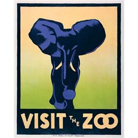Visit the zoo - Elephant - Cuadrostock
