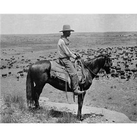 A Texas cowboy, 1907 - Cuadrostock