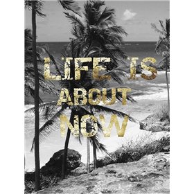 Life is About Now - Cuadrostock