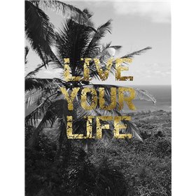 Live Your Life - Cuadrostock
