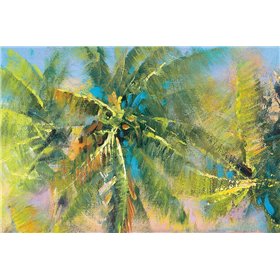 Palm Collage - Cuadrostock