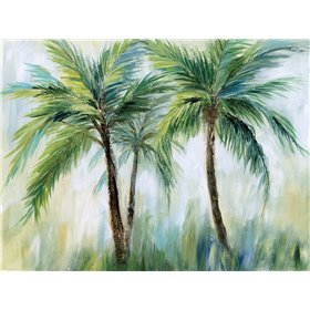 Palm Sensation