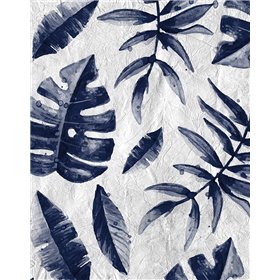 Tropic Indigo Leaves 2 - Cuadrostock