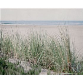 Steps To The Beach IV - Cuadrostock