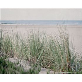 Steps To The Beach IV - Cuadrostock