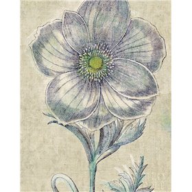 Belle Fleur II Crop Linen